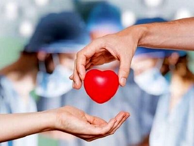 ضرورت همراهی علما و رسانه‌ها برای فرهنگ‌سازی و ترویج اهدای عضو