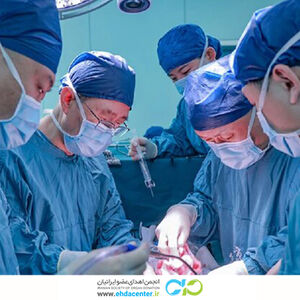 اولین پیوند موفقیت‌آمیز کبد خوک به انسان؛ گامی مهم در دنیای پزشکی