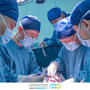 اولین پیوند موفقیت‌آمیز کبد خوک به انسان؛ گامی مهم در دنیای پزشکی