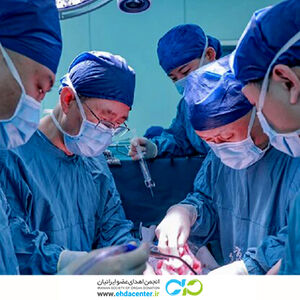 اولین پیوند موفقیت‌آمیز کبد خوک به انسان؛ گامی مهم در دنیای پزشکی