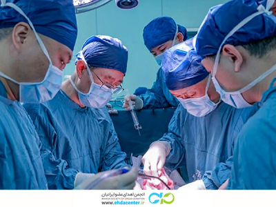 اولین پیوند موفقیت‌آمیز کبد خوک به انسان؛ گامی مهم در دنیای پزشکی