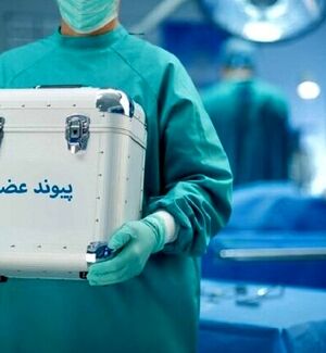 روزانه ۷ تا ۱۰ نفر در اثر نرسیدن عضو می‌میرند / ثبت ۱۳ اهدای عضو در سمنان