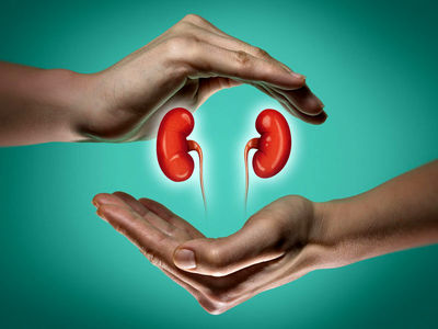 ۱۵۰ بیمار گیلانی در لیست انتظار پیوند کلیه هستند